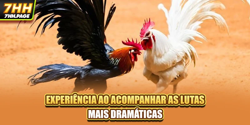 Experiência ao acompanhar as lutas mais dramáticas