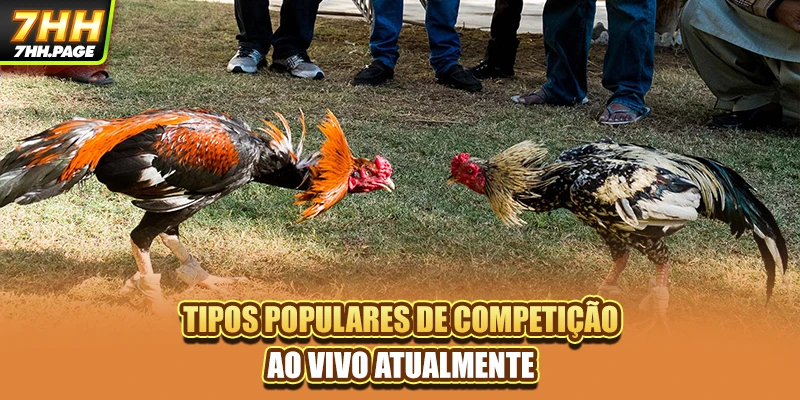 Tipos populares de competição ao vivo atualmente